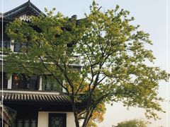 -蠡湖中央公园