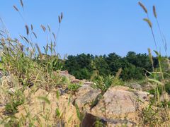 -蟠龙山长城景区