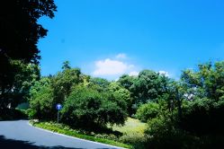 -东航云逸酒店·宴会厅