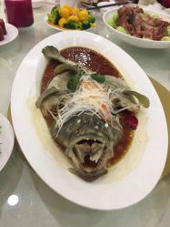 -甘井子区冠豪主题婚礼酒店宴会厅(机场店)