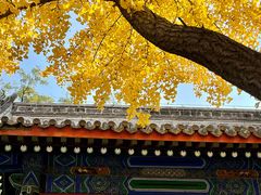 -北京国子监胡同
