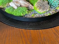 -三利音·浦之舟(滨江大道店)