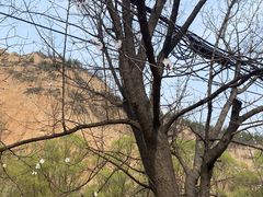 -梁家河村红色旅游区