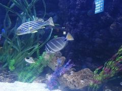 -多彩贵州城极地海洋世界