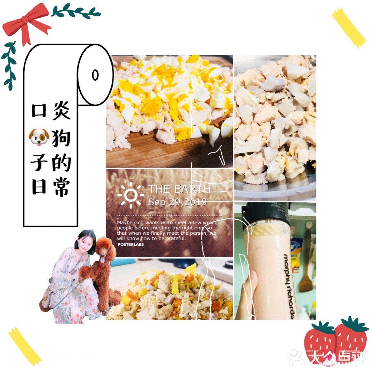 人不如狗之铲屎官的日常