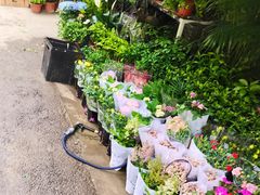 -循礼门鲜花花市(武汉循礼门店)