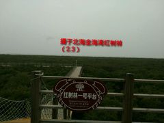 -北海金海湾红树林生态旅游区