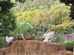 -无锡动物园·太湖欢乐园