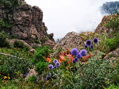 -白草畔自然风景区