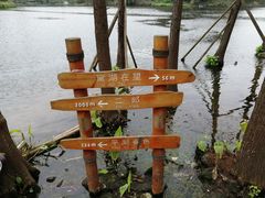 -重庆彩云湖湿地公园
