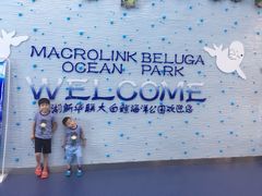 -芜湖新华联大白鲸海洋公园