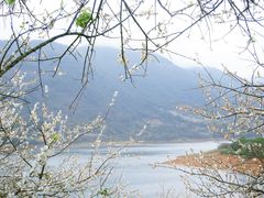 -广州市流溪河国家森林公园