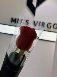 -处女座·MISS VIRGO·半永久纹眉野生眉