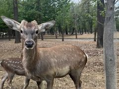 -秦皇岛野生动物园
