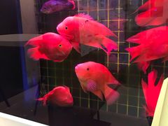 -方快-照相馆(莘庄沁春路店)