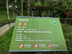 -中国大熊猫保护研究中心雅安碧峰峡基地