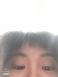 -YESIDO椰岛造型