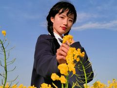 -春花秋色城市公园