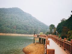 -桃花岭景区