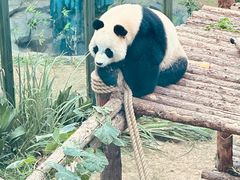 -大连森林动物园