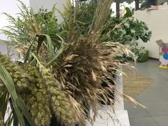 -Butchart布查德鲜花(花艺设计中心)