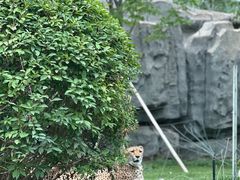 -北京野生动物园