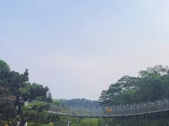 -东莞植物园