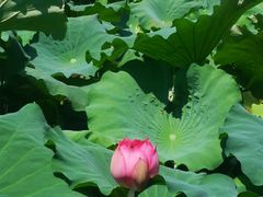 -千龙湖生态旅游度假区