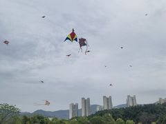 -牛岗山公园