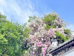 -深圳国际园林花卉博览园