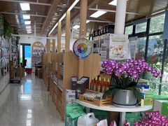 -中国农业大学动物医院