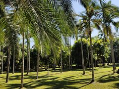 -中国科学院西双版纳热带植物园