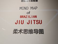 -EFL巴西柔术·综合格斗·泰拳·少儿体能训练(虹桥德必馆)