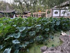 -莲湖公园