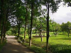 -紫马岭公园
