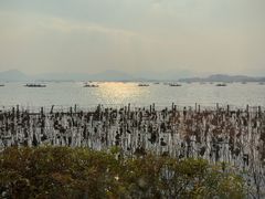 -湖畔居茶楼(湖滨店)