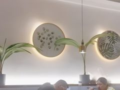 -探窝·竹笙椰子鸡(杨箕店)