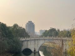-眉山湿地公园(东坡区)