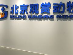 -北京观赏动物医院·24小时大型综合·猫专科·异宠专科