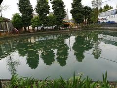 -水岸庭院·乡村柴火鸡