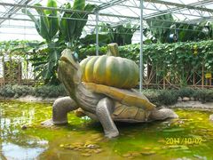 北京观光南瓜园&nbsp;(38)-观光南瓜园