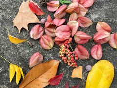 -白塘生态植物园