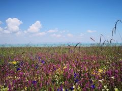-青海湖国家重点风景名胜区