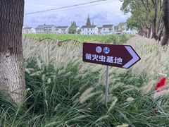 -动邦皮划艇·桨板·独木舟·团建户外运动俱乐部