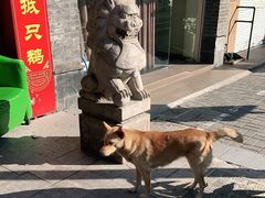 -西新饭店(城中店)