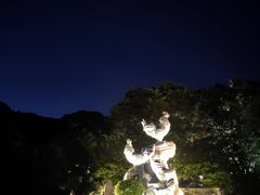 -金鸡山公园
