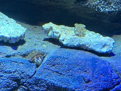 -沈阳海洋探索中心