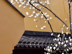 -龙华寺