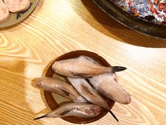 蓝尾耗儿鱼-肥龙火锅(南坪店)