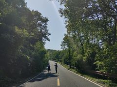 -宝界山林公园